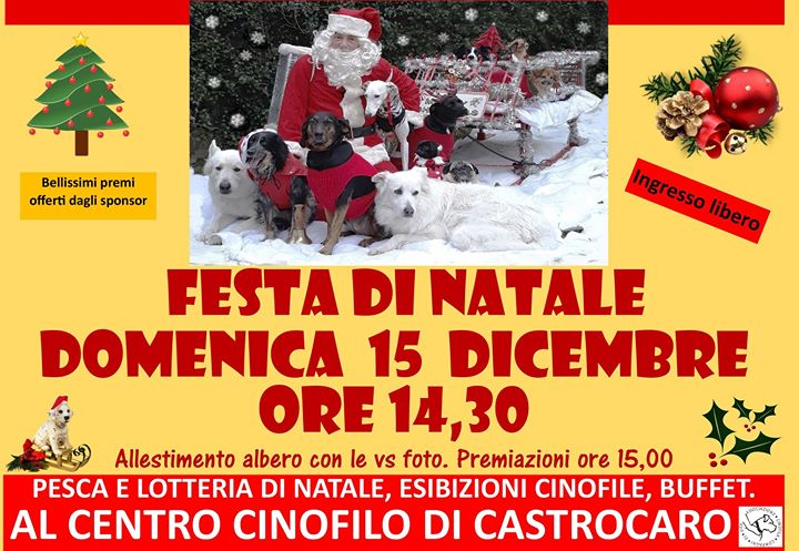 Data Natale.Festa Di Natale Cinofila Natale A 4 Zampe 8 Edizione A Castrocaro Terme E Terra Del Sole 15 12 2019